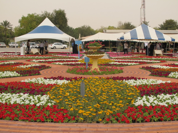 Flower Show.jpg