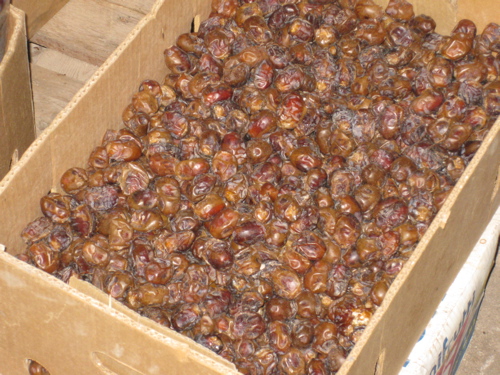 dates.jpg