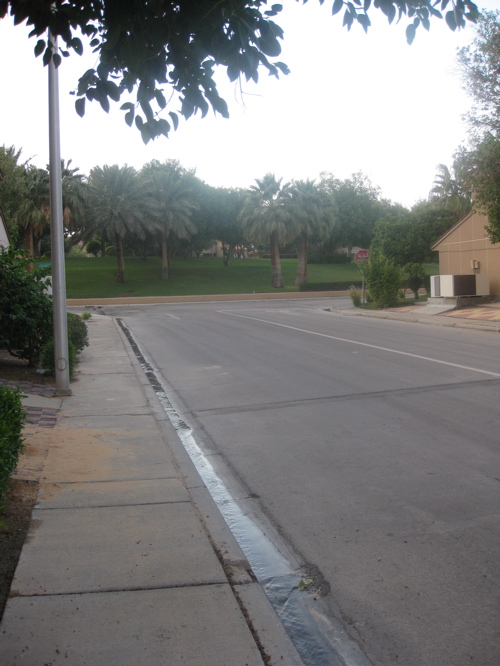 walk 1.jpg