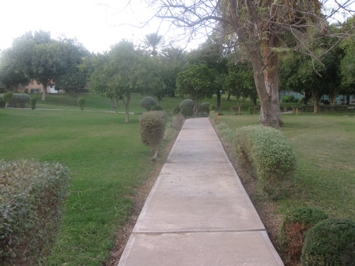 walk 2.jpg