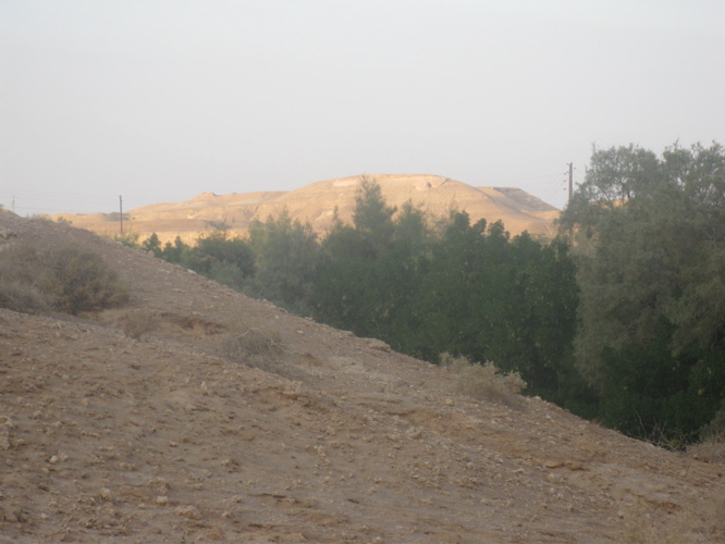 IMG_2664.jpg