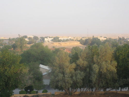 IMG_2673.jpg
