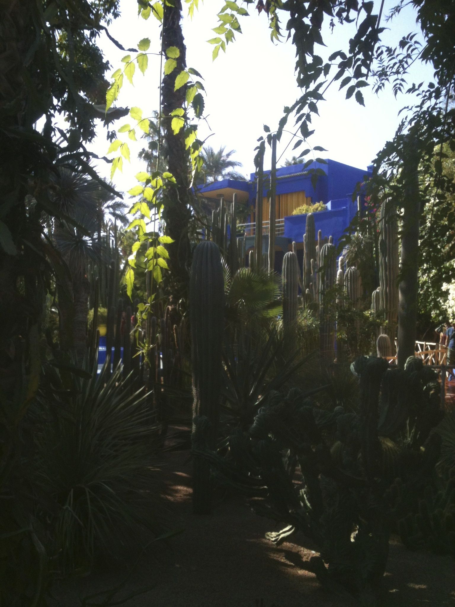 Majorelle Gardens