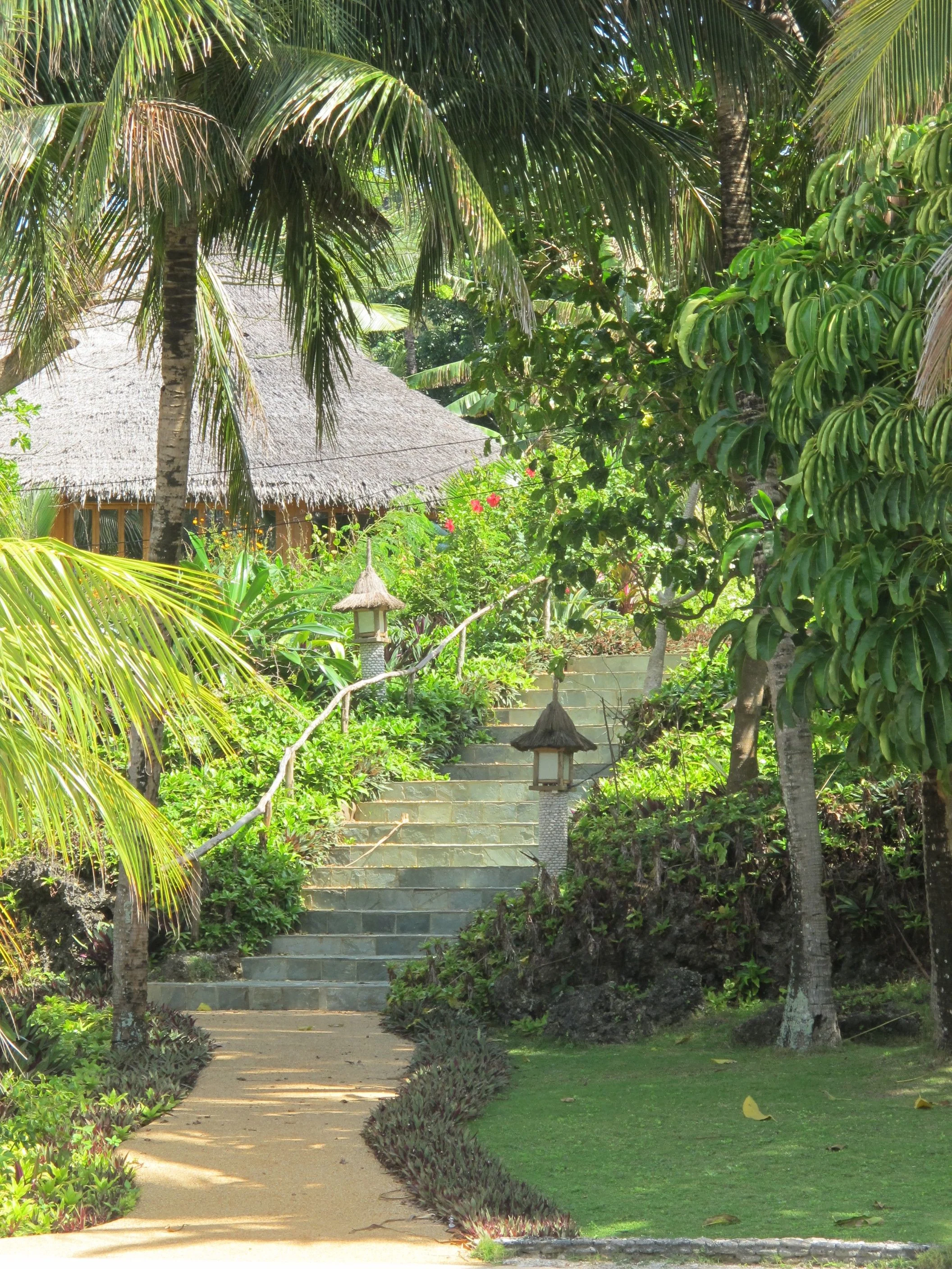 Coco Grove path.jpg