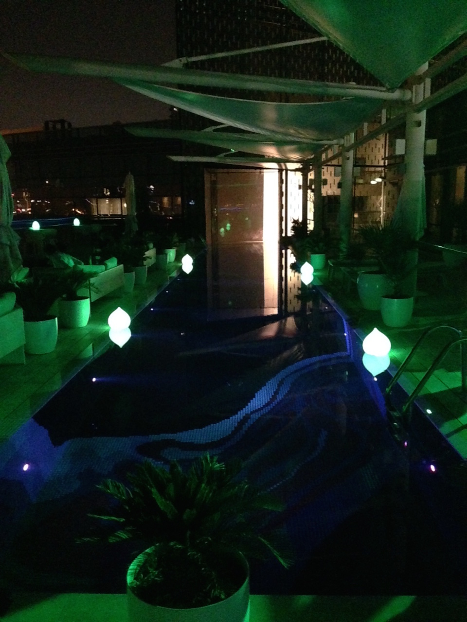 The rooftop pool at our hotel. They do nighttime lighting really well in Dubai, because so much of life happens in Dubai after dark, when it's cooler.