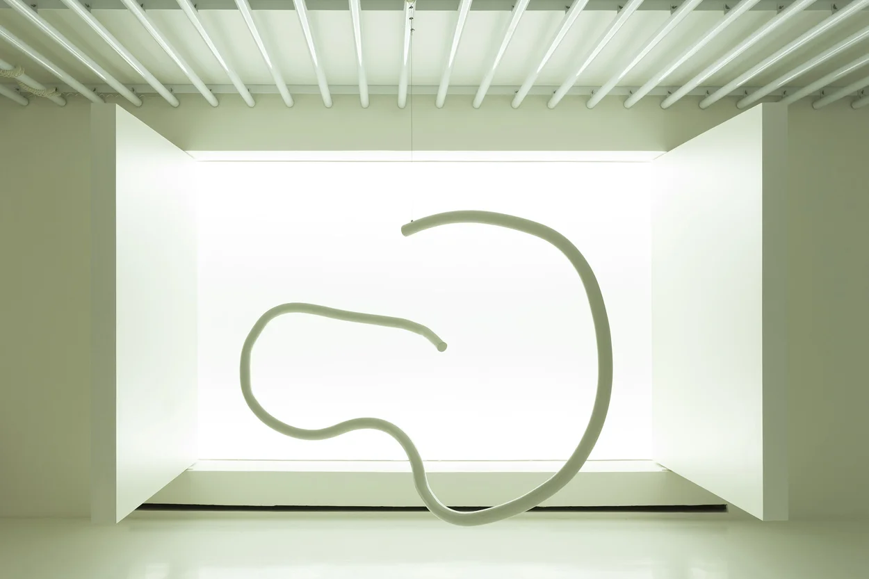 05_EXPOSIÇÃO TOMIE OHTAKE_por Gabriel Castro.jpg