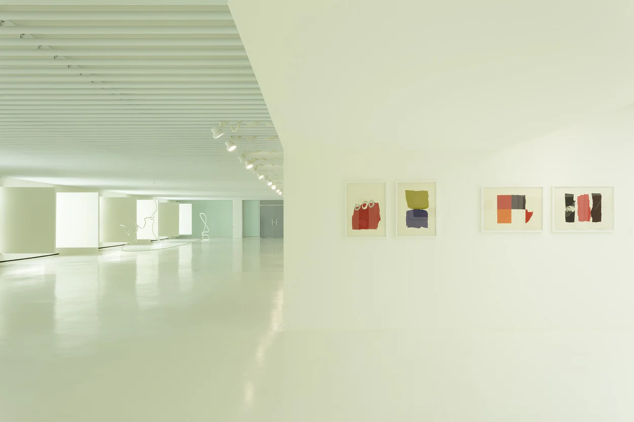 10_EXPOSIÇÃO TOMIE OHTAKE_por Gabriel Castro.jpg