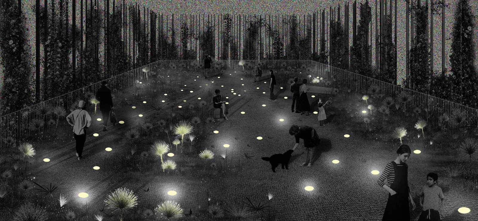 imagen plaza_noche.jpg