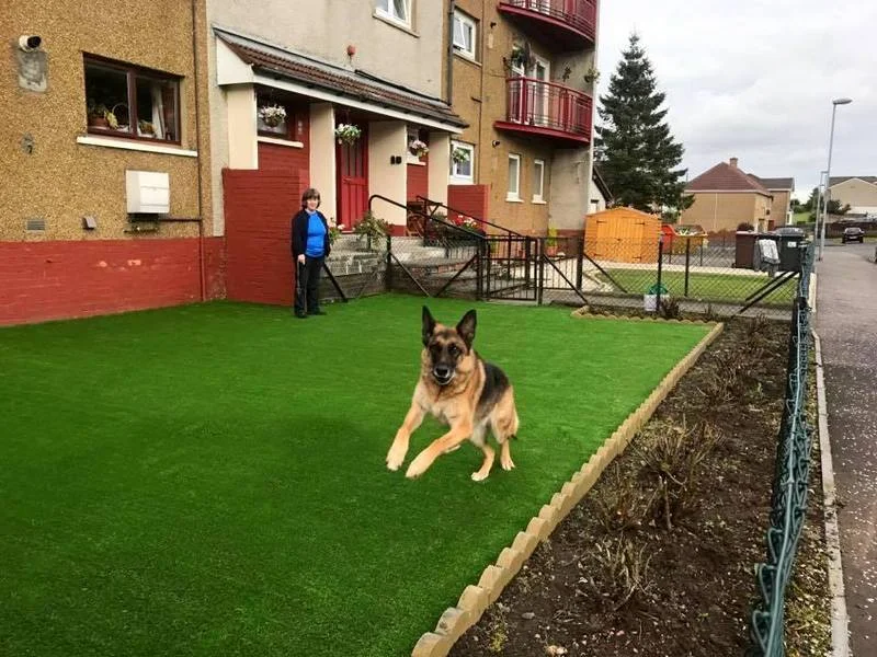 artificial lawn for dogs.jpg