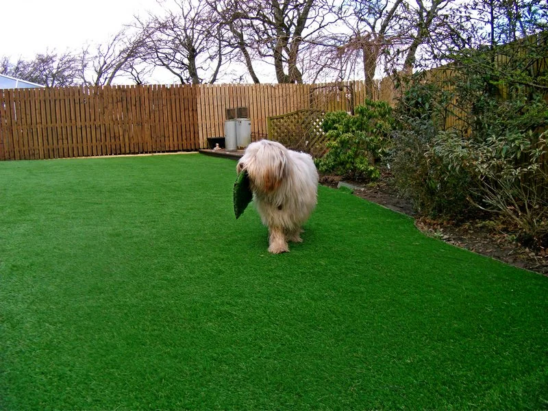 artificial turf for pets.jpg