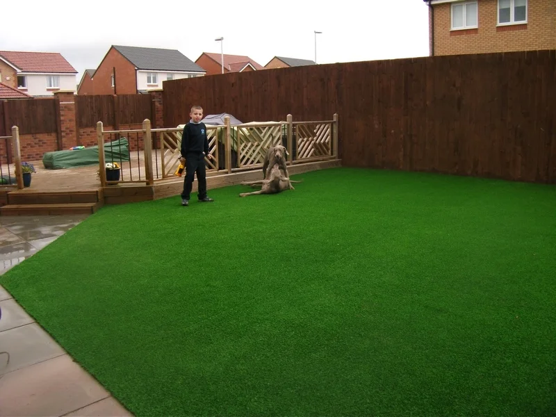 turf for dogs.jpg