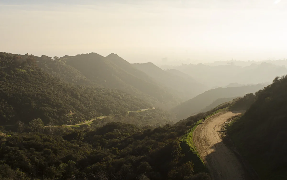 GriffithPark_Horse.jpg
