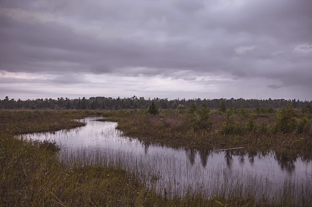 CheboygenMichigan_StatePark_HDR_01_LightroomExport.jpg