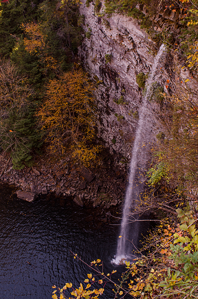 _DSC7647.jpg