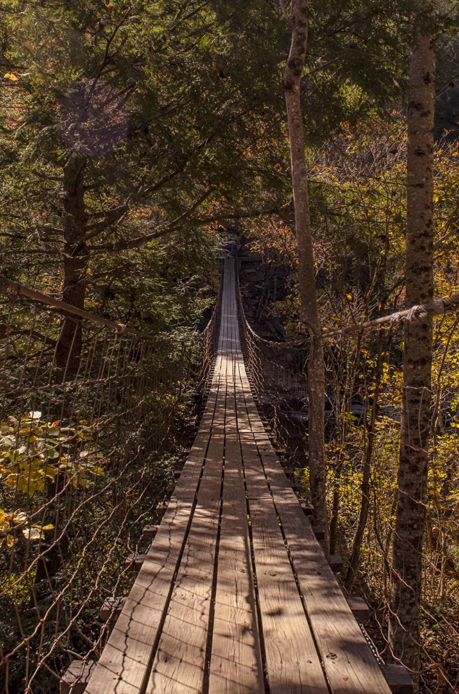 _DSC7656.jpg