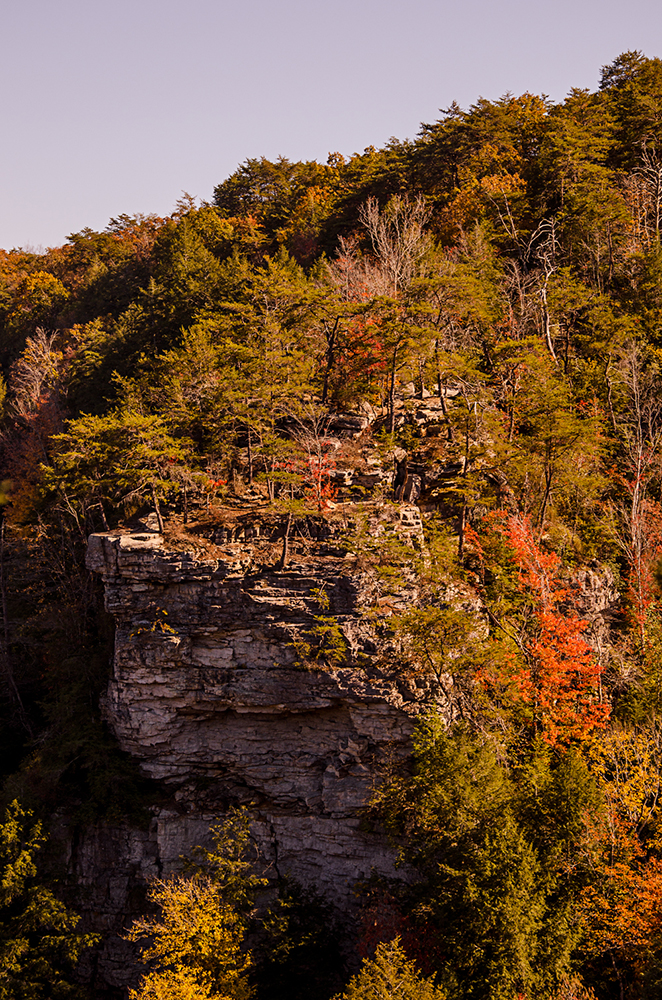 _DSC7680.jpg