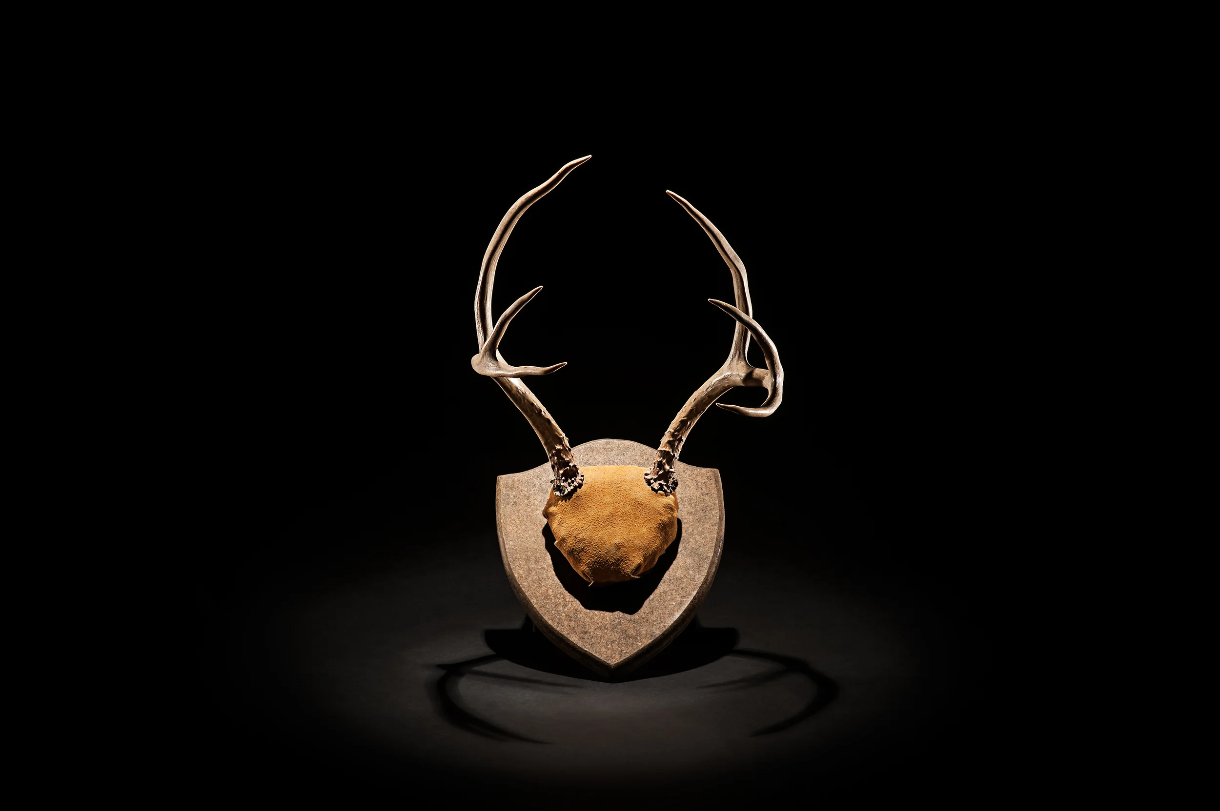 BuckAntlers_02.jpg