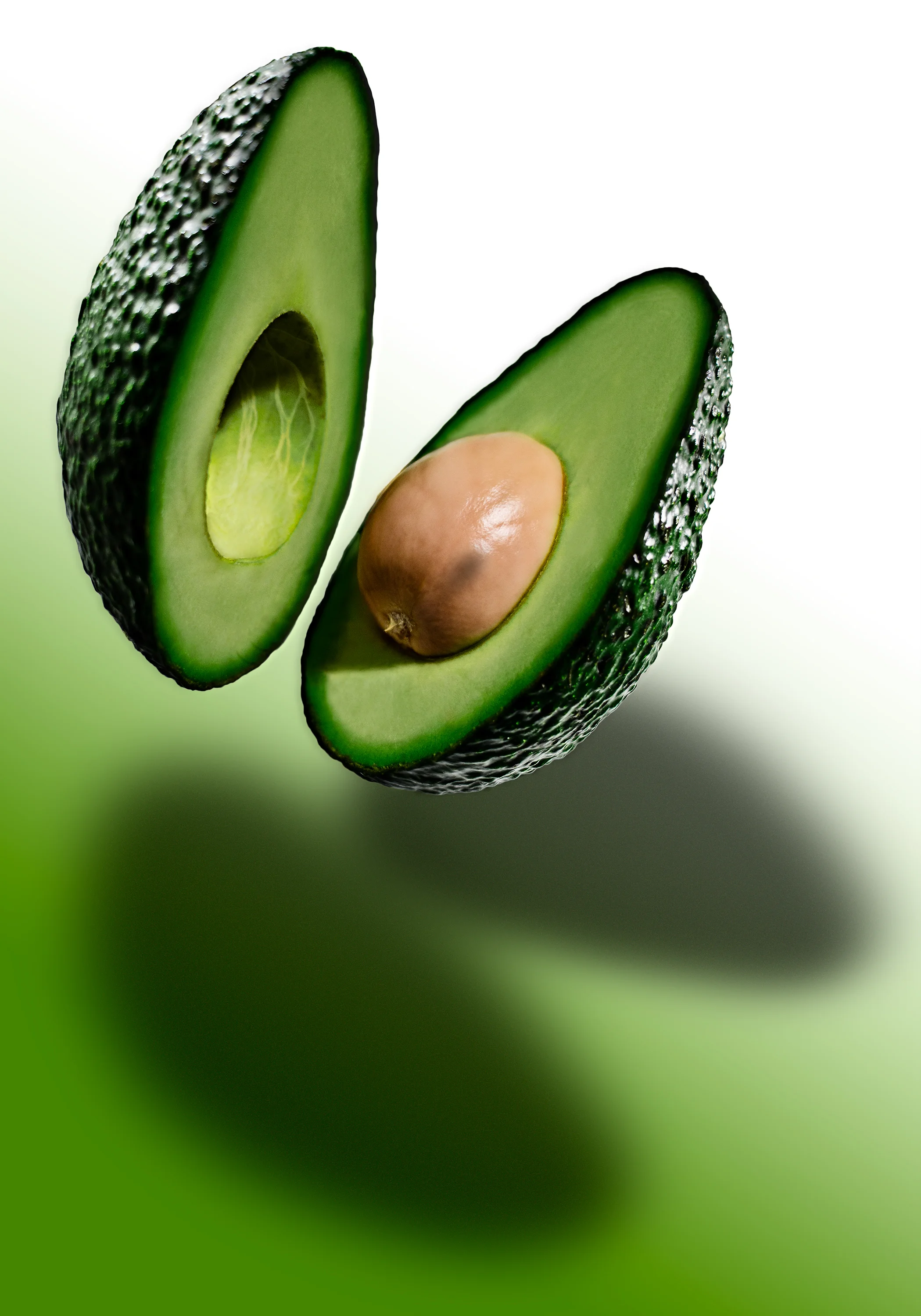 Avocado_ShadowEdit_3.jpg