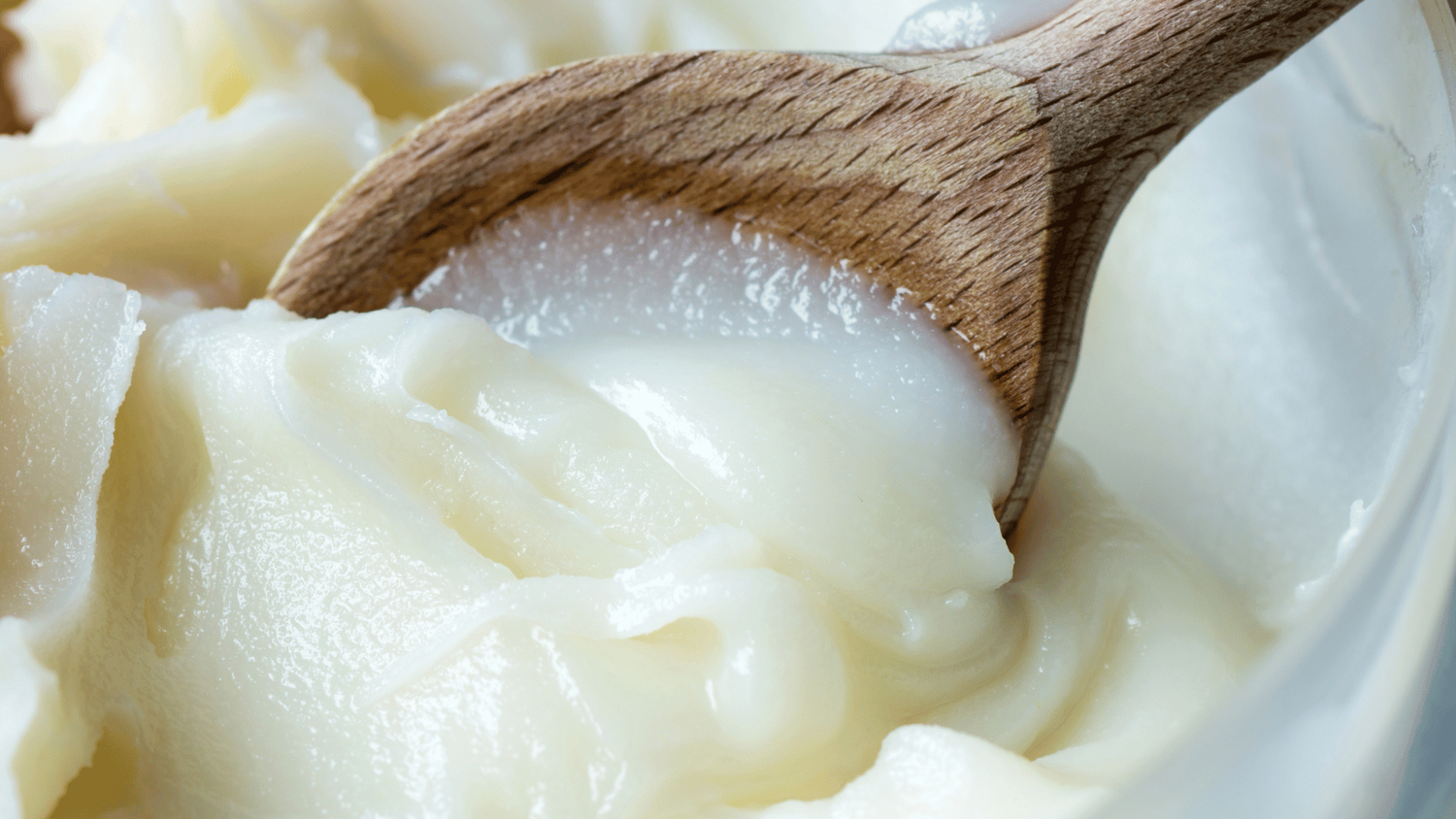 Beef tallow balm being scooped