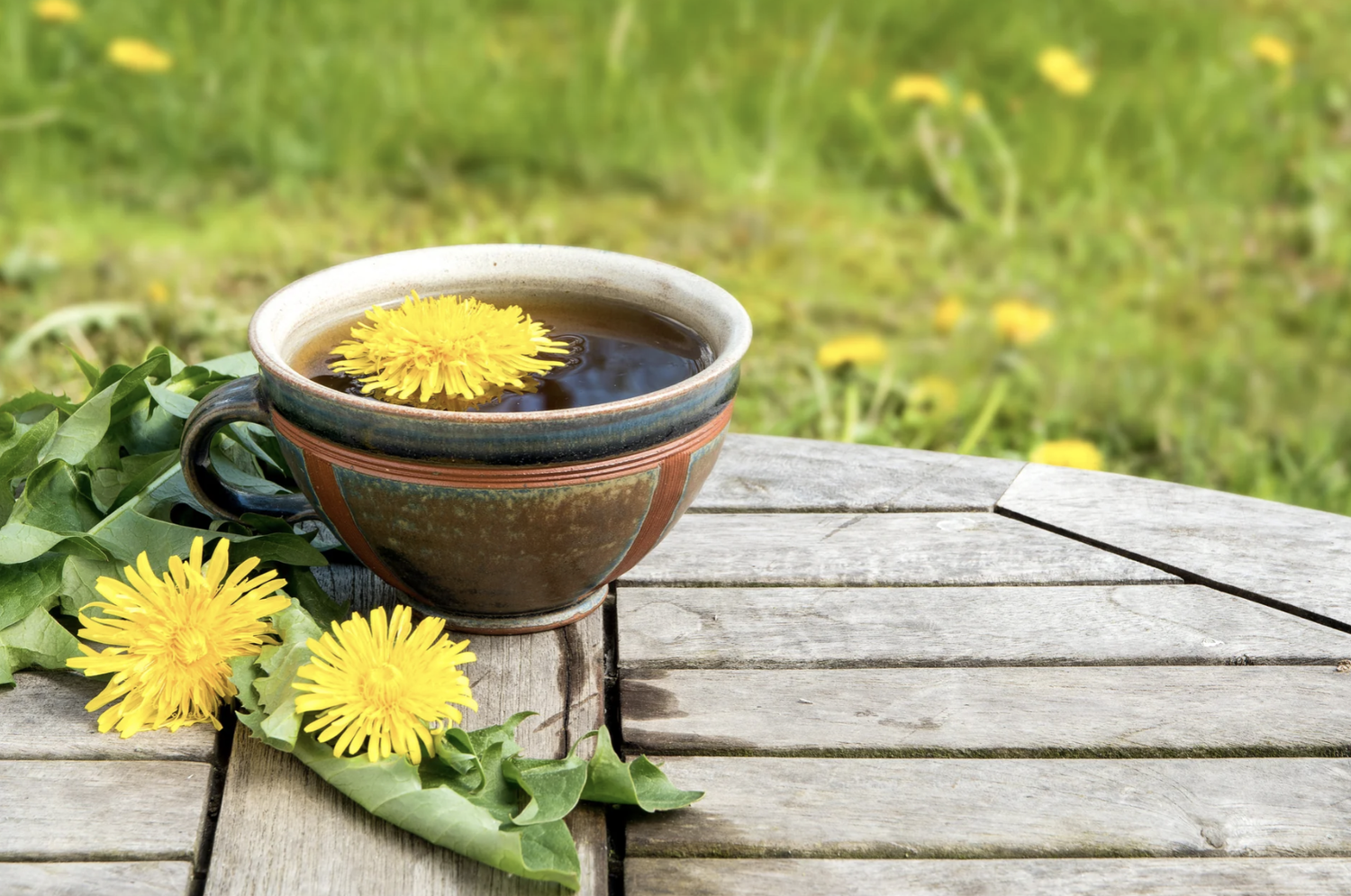 Dandelion tea with fresh flowers
