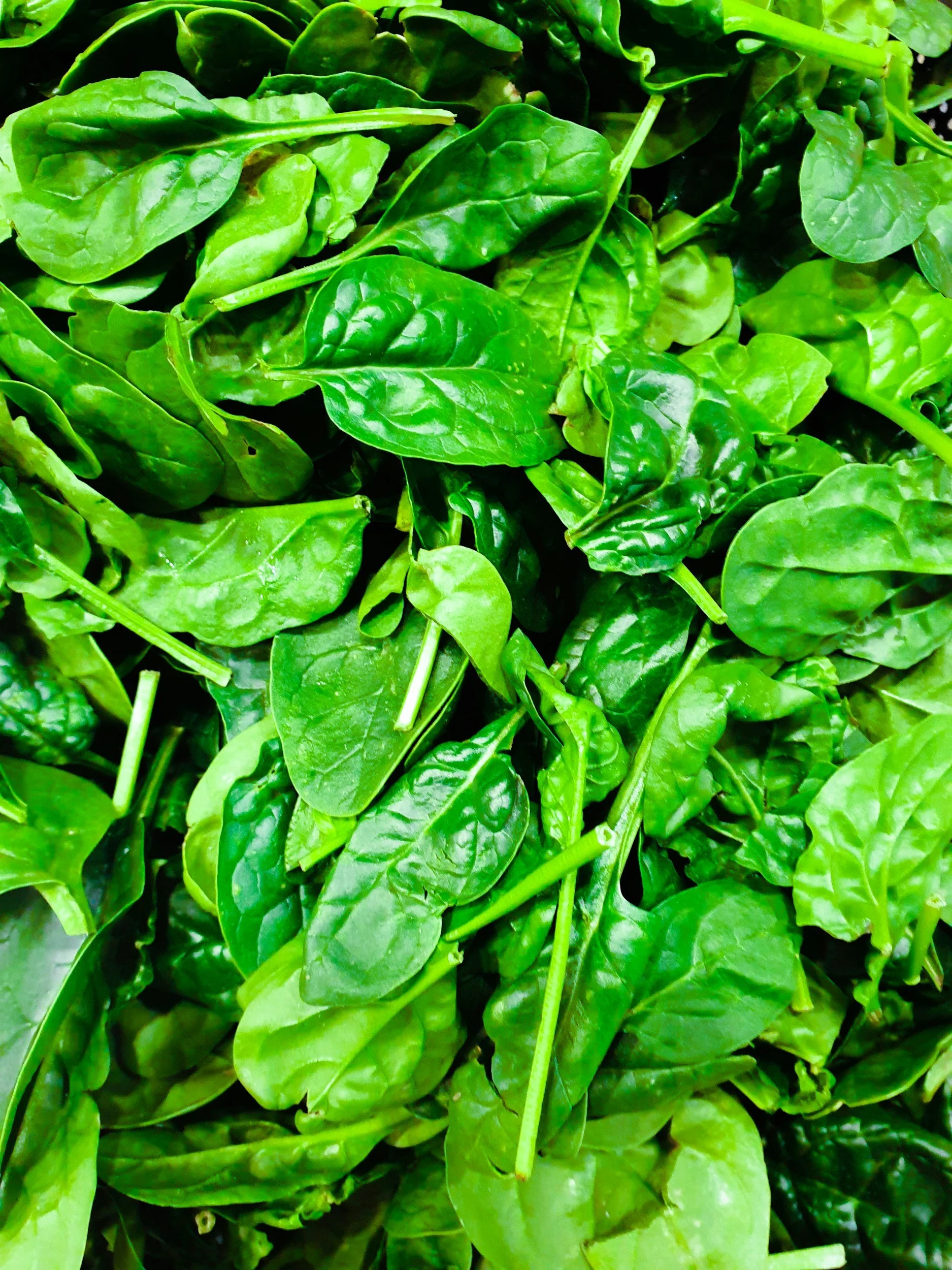 Fresh, vibrant spinach leaves piled together, showing bright green color and natural texture in a close-up shot.