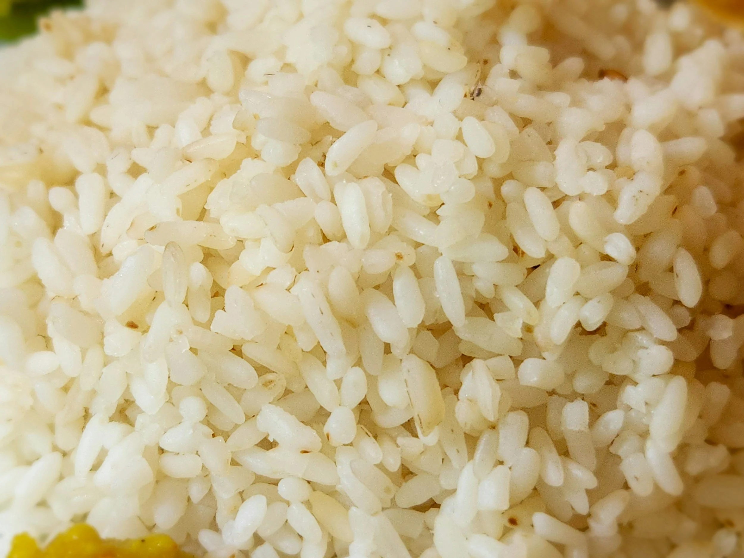 Close-up image of cooked white rice grains, showing soft texture and slight sheen.
