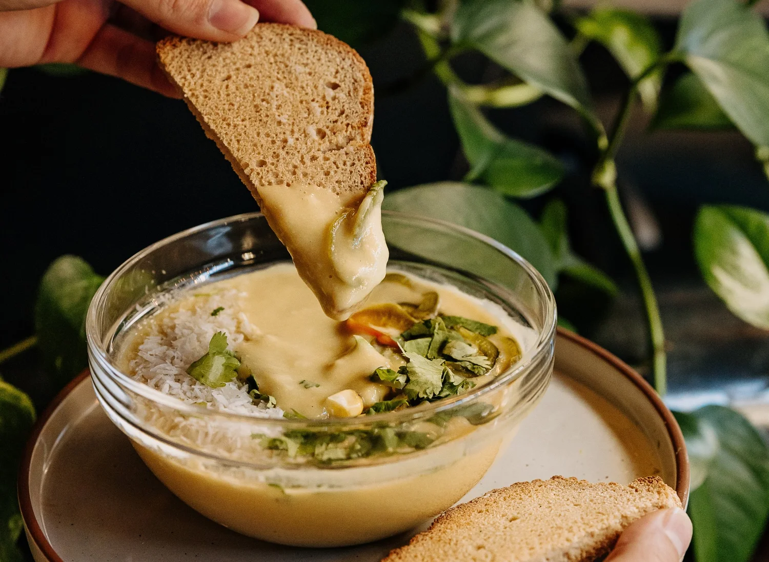 Cream of mushroom soup with bread