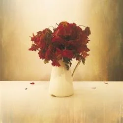 The Lion & the Wolf – The Cardiac Hotel (out 7 October 2016)