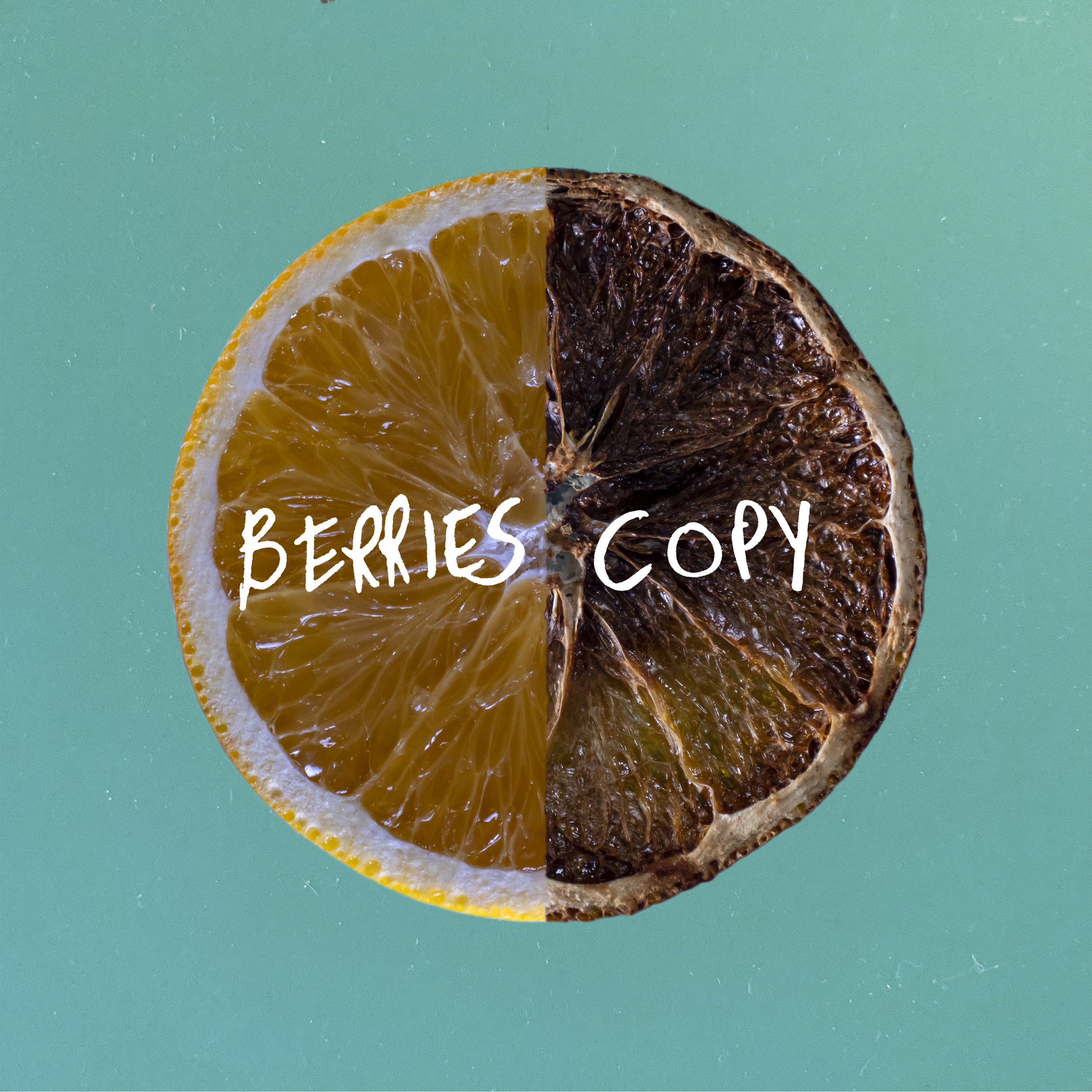 Berries Copy Artwork 3000x3000.jpeg