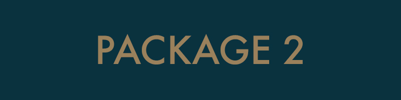 Package 2_web development.jpg