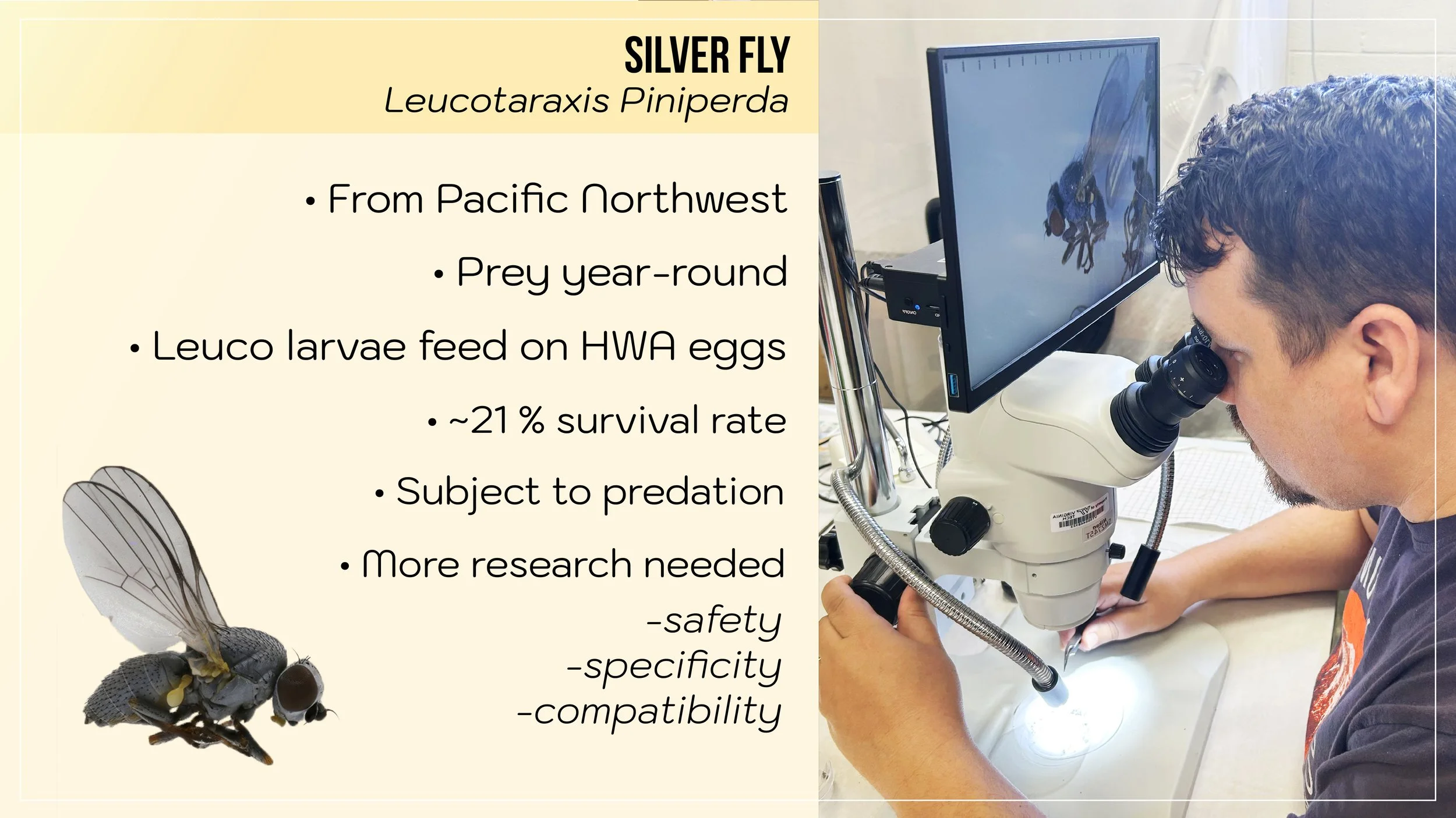 HWA Slide 7.jpg