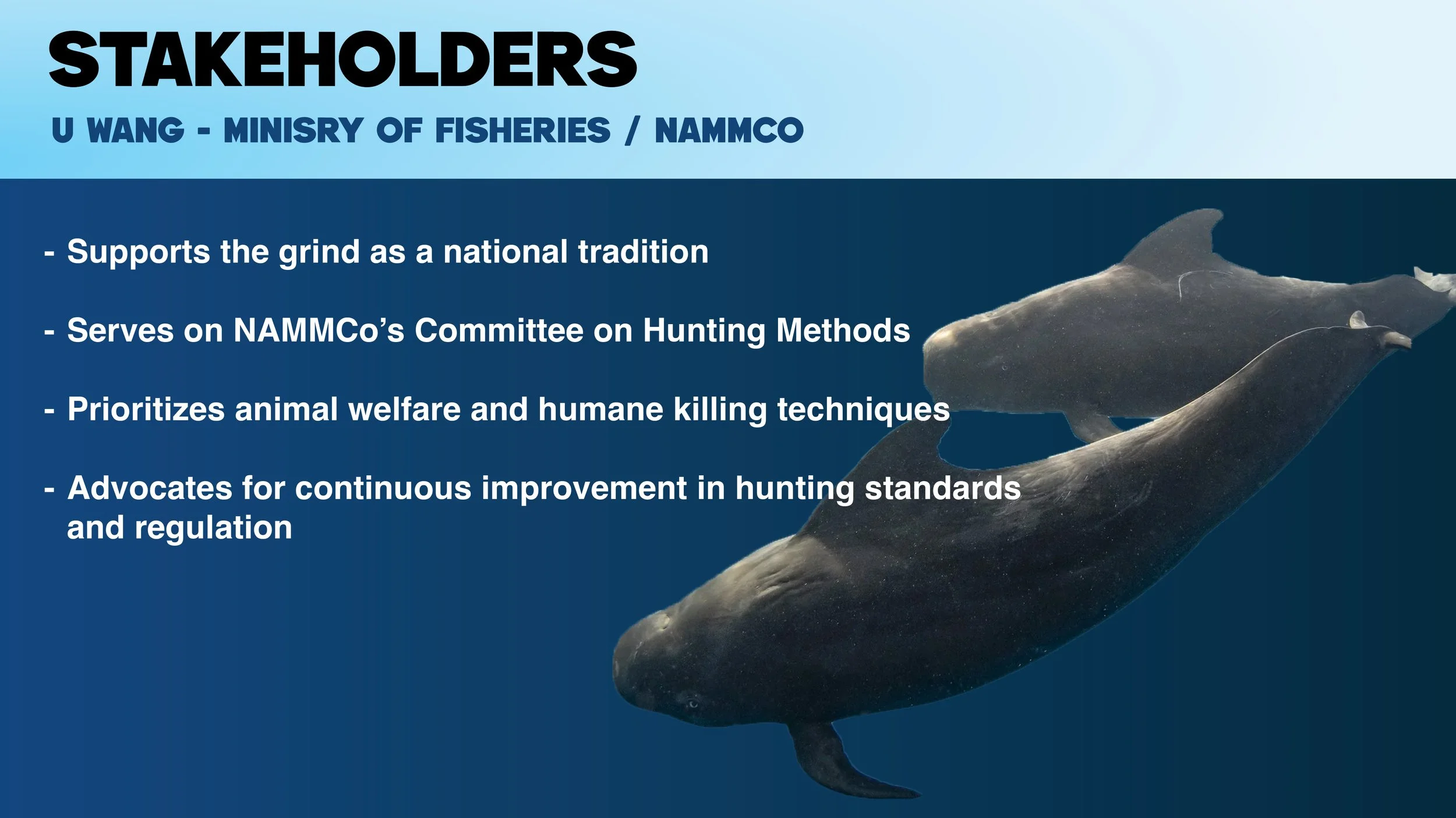 Faroe Group Presentation Slide 13.jpg