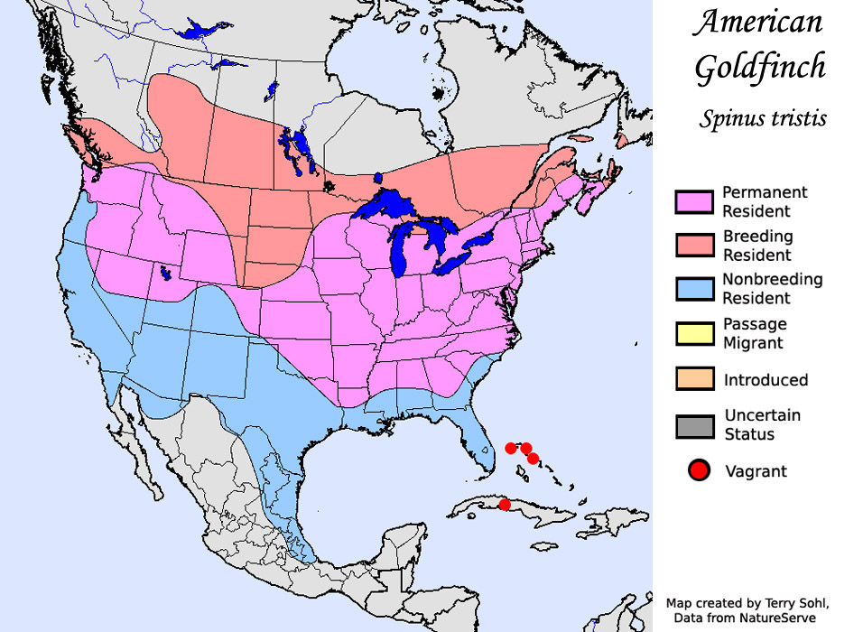 american_goldfinch_map_big.jpg