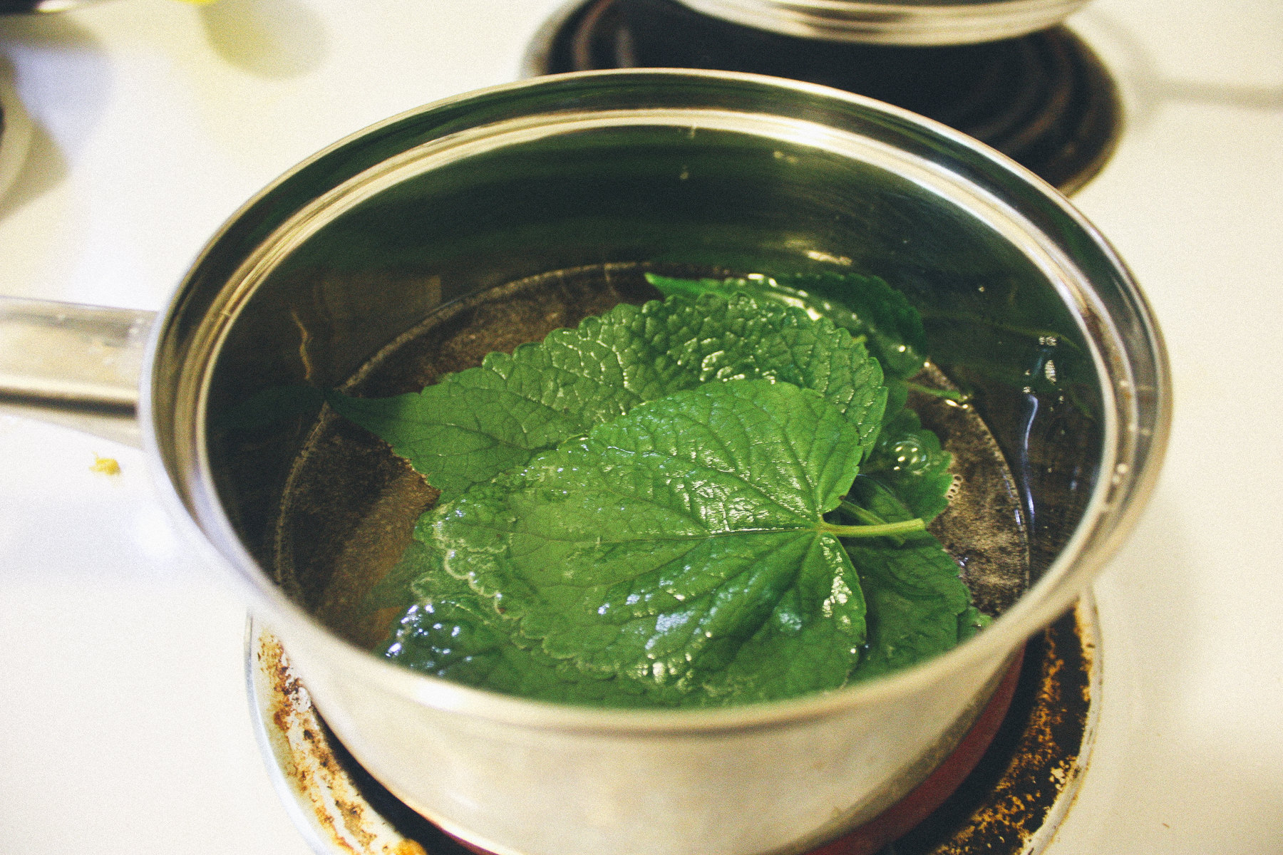 herb_11.jpg