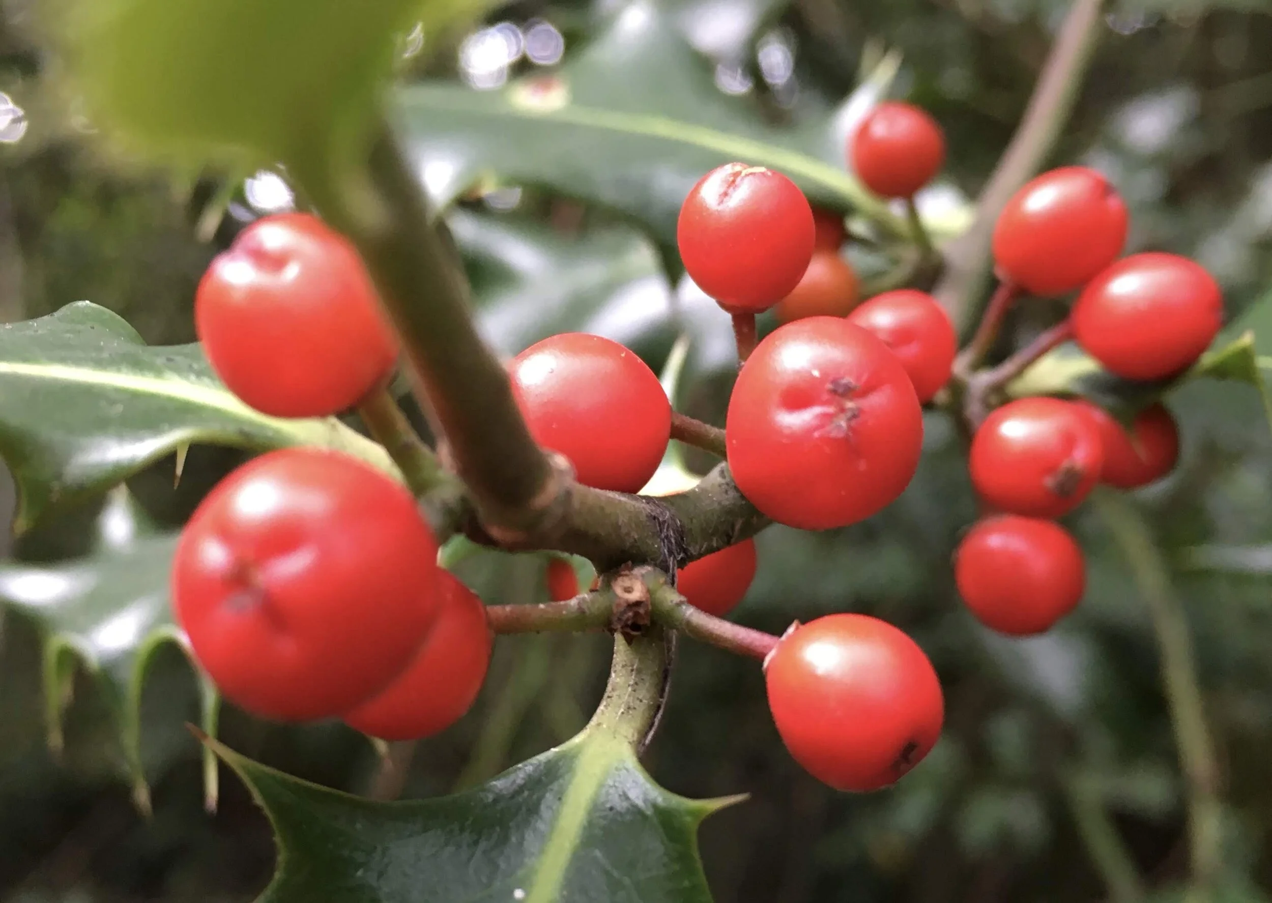 Questions for reflection on the past year and planning for the New Year