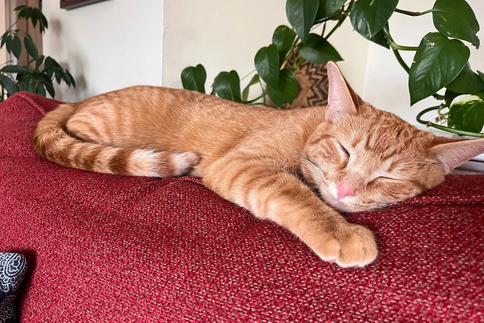 The hardest (but best) thing I learned from a sleep coach