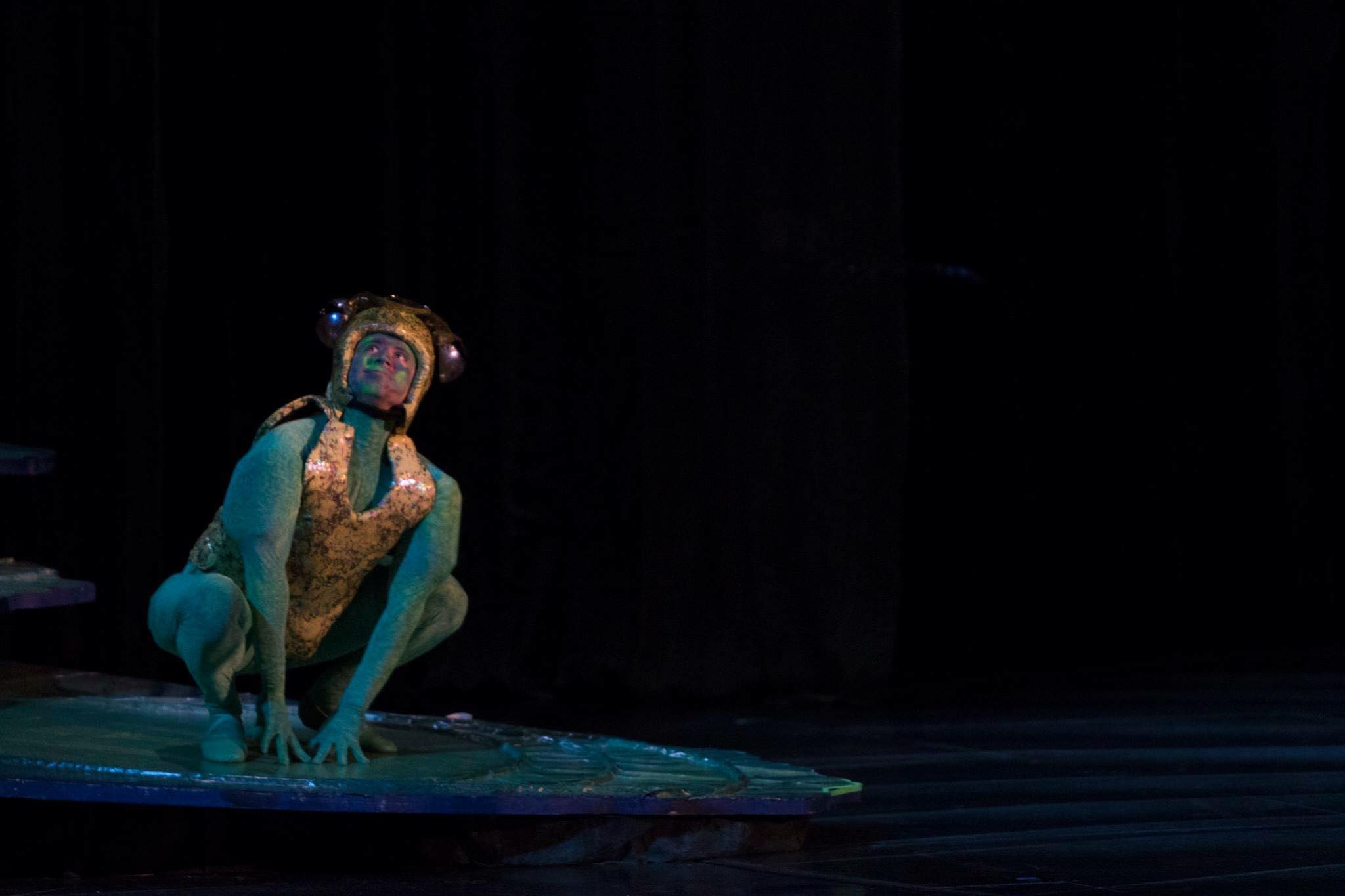 FROG SAN DIEGO OPERA.jpg