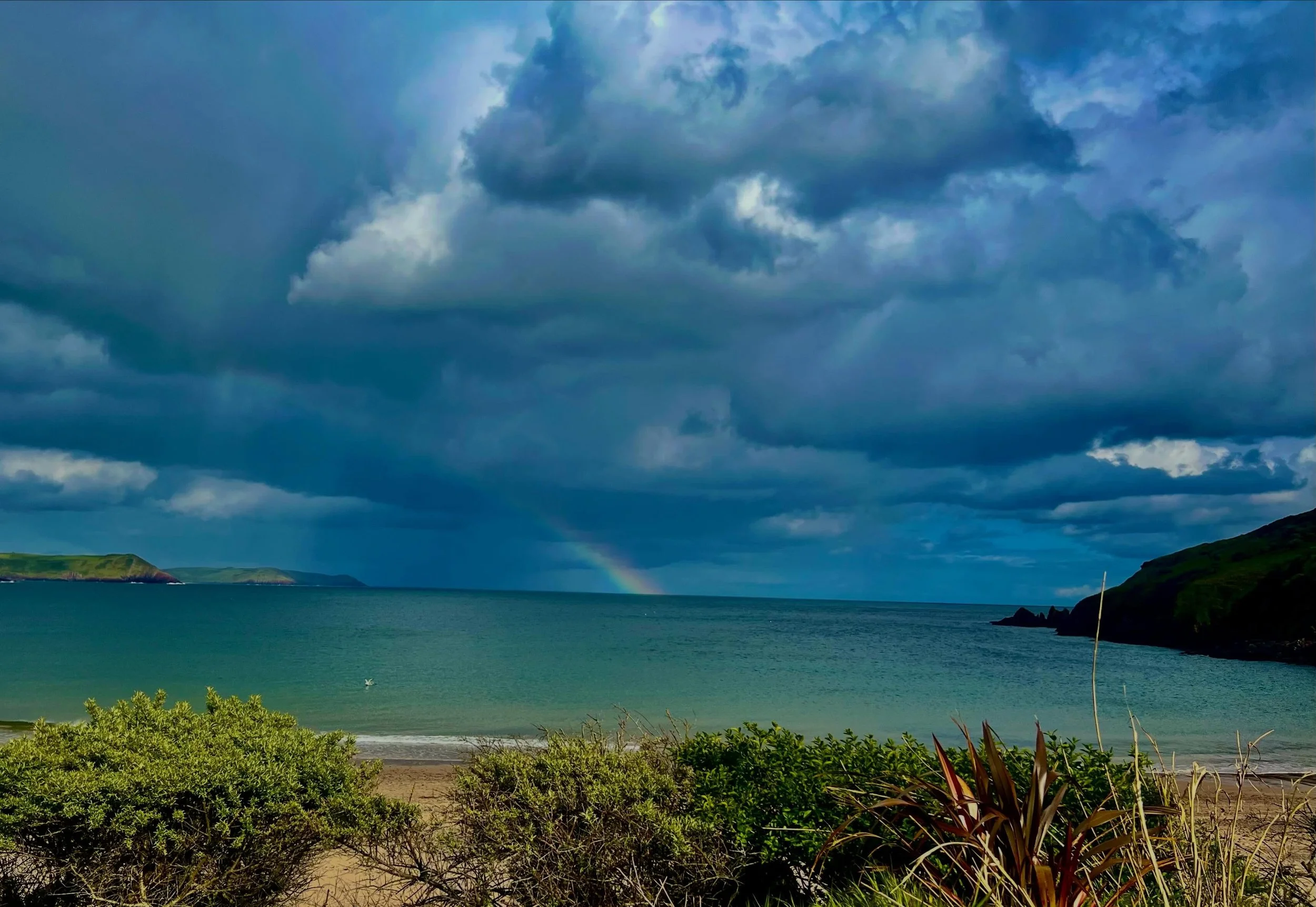 Came home from London meetings and this was greeting me as I dove in to wash off the city &hellip; 🌈