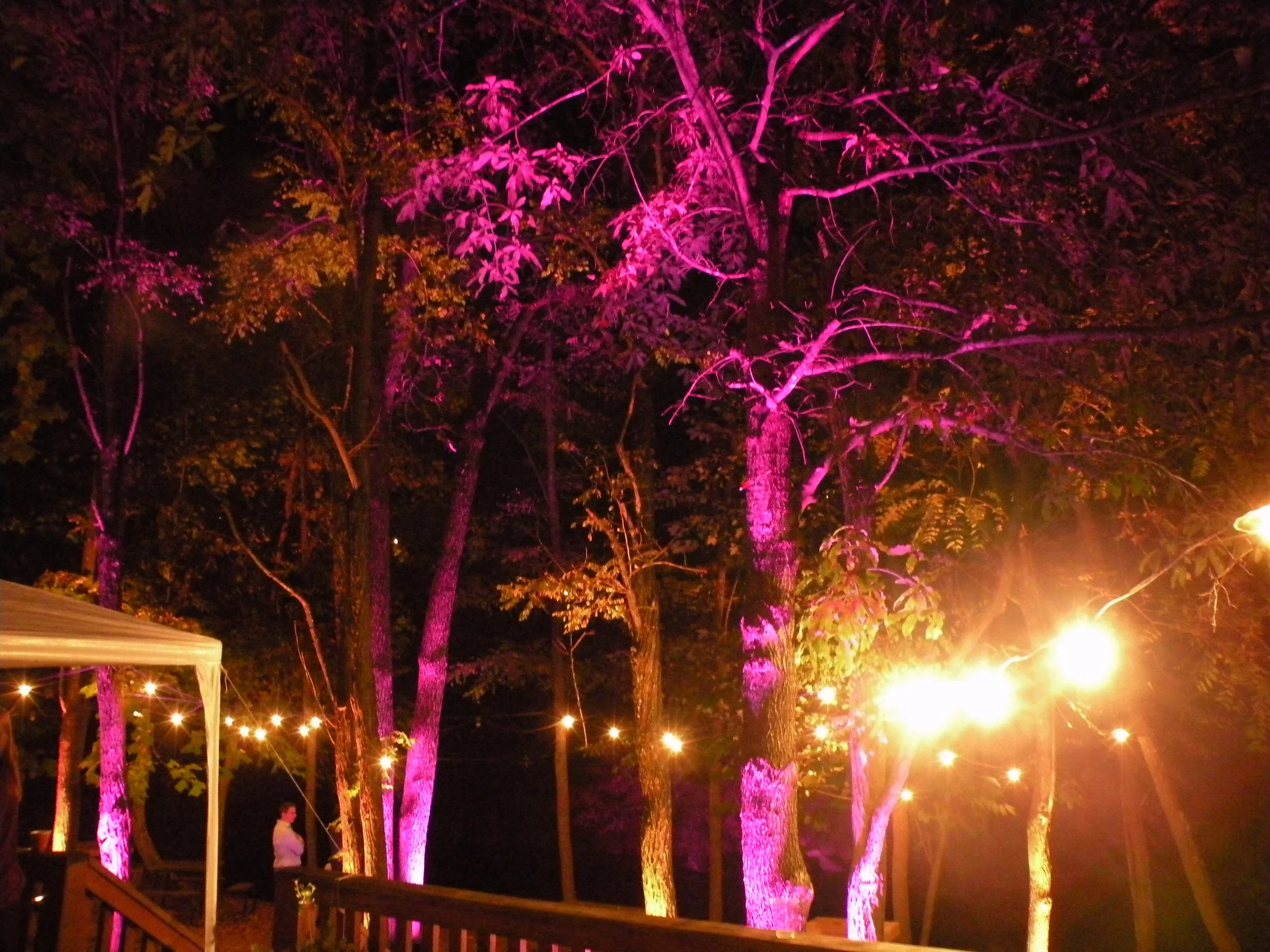 2015-Waynesville-NC-uplighting-14.JPG