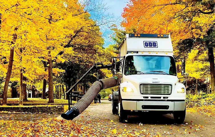 No1-OBDCoverPhoto (3).webp