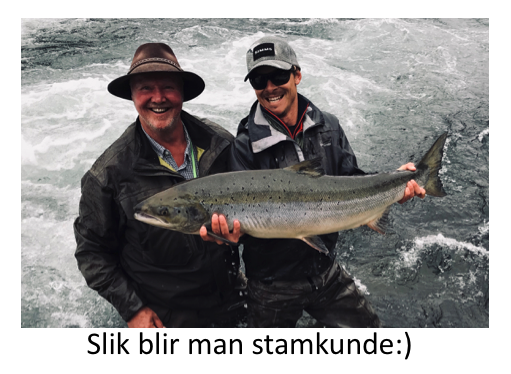 Skjermbilde 2018-12-06 kl. 14.18.37.png
