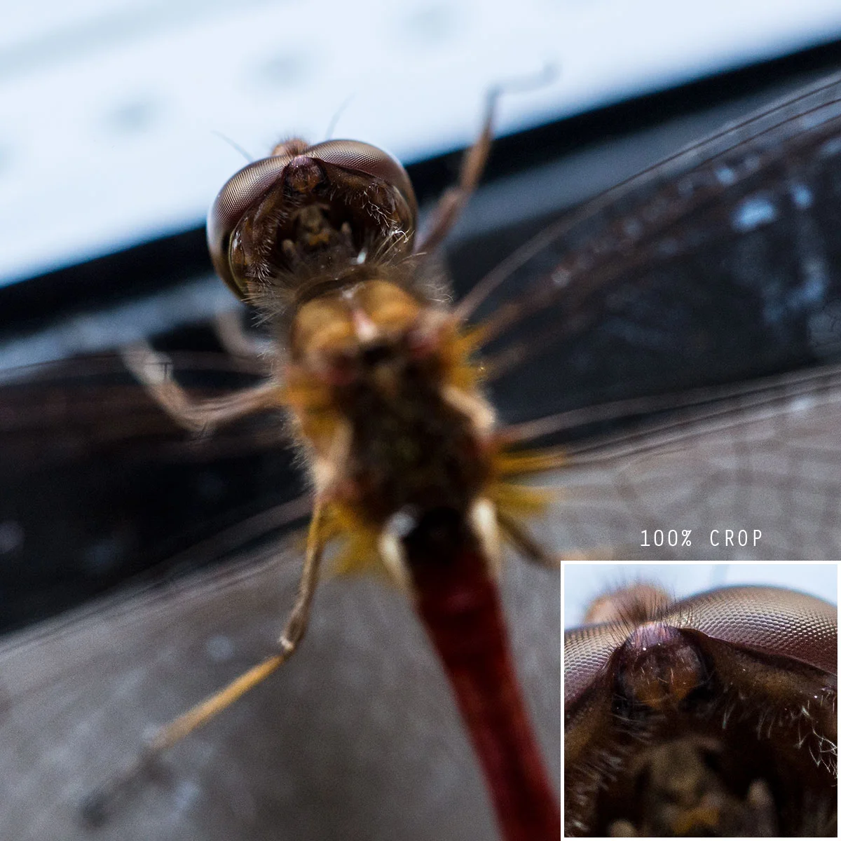 1/200 second, f/2.8, ISO 800