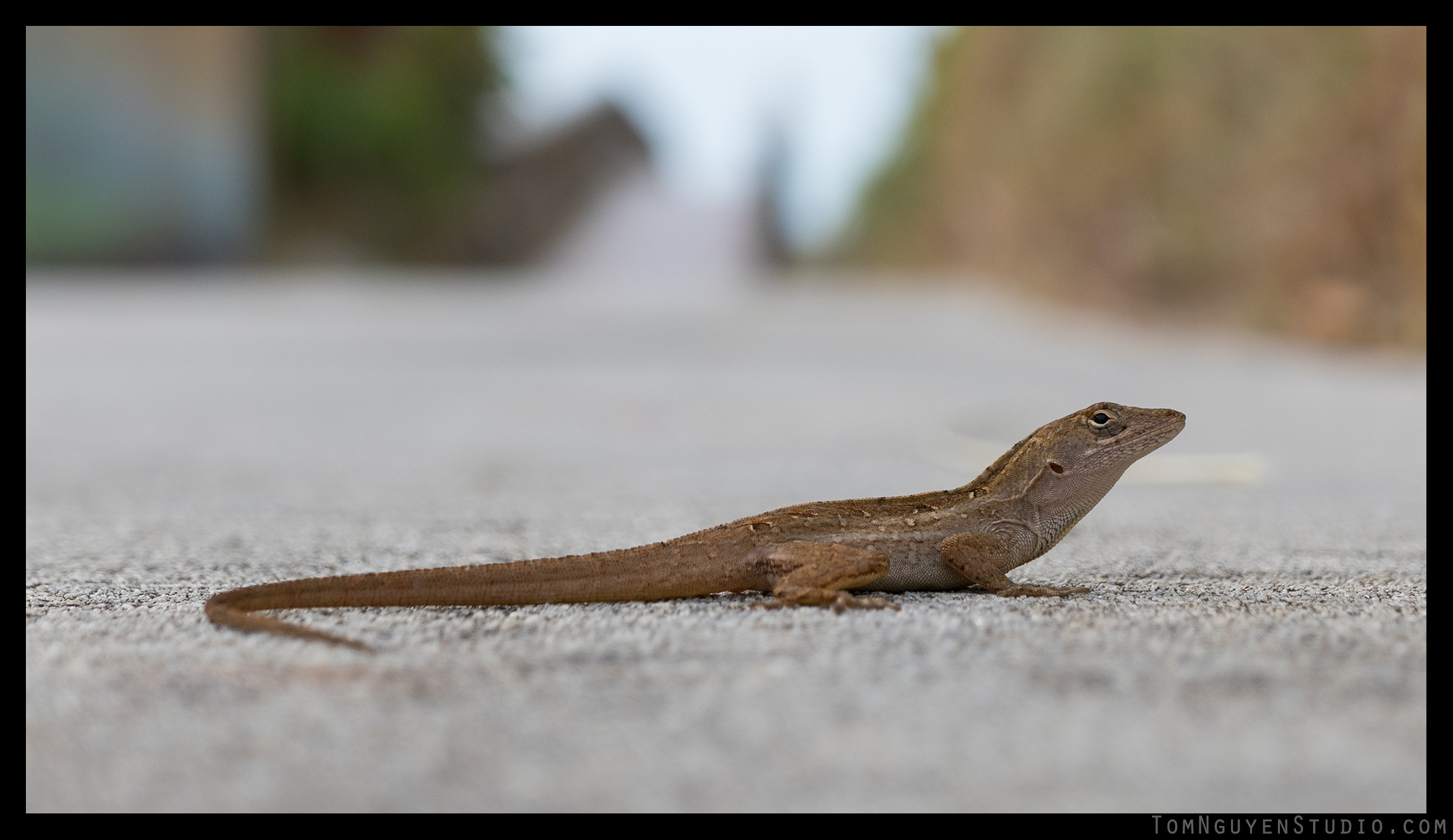 LX100: f/4.0, 1/1000 second, ISO 200.