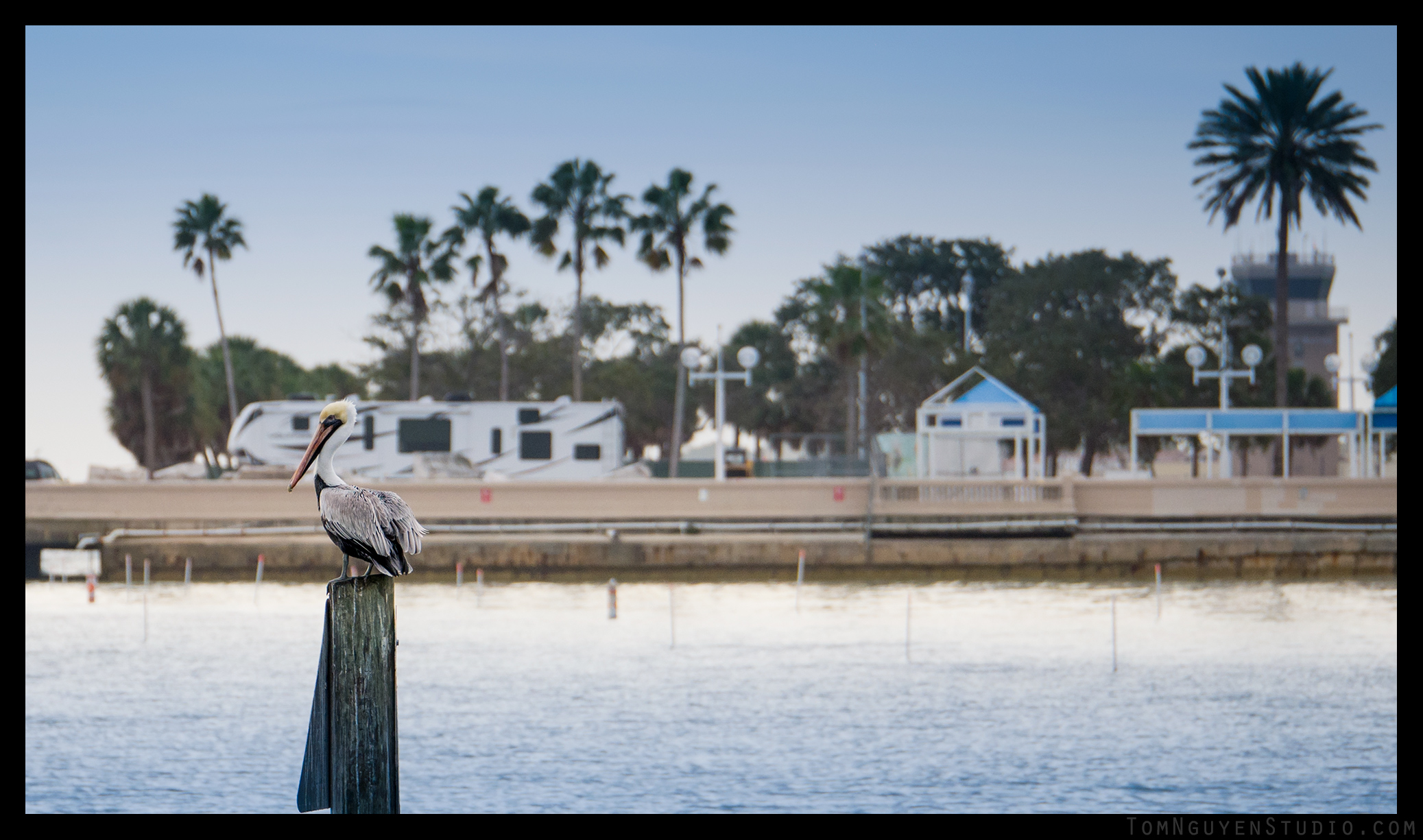 Panasonic G7 + 35-100mm/2.8 lens at f/3.2, 1/1250 second, ISO 200.
