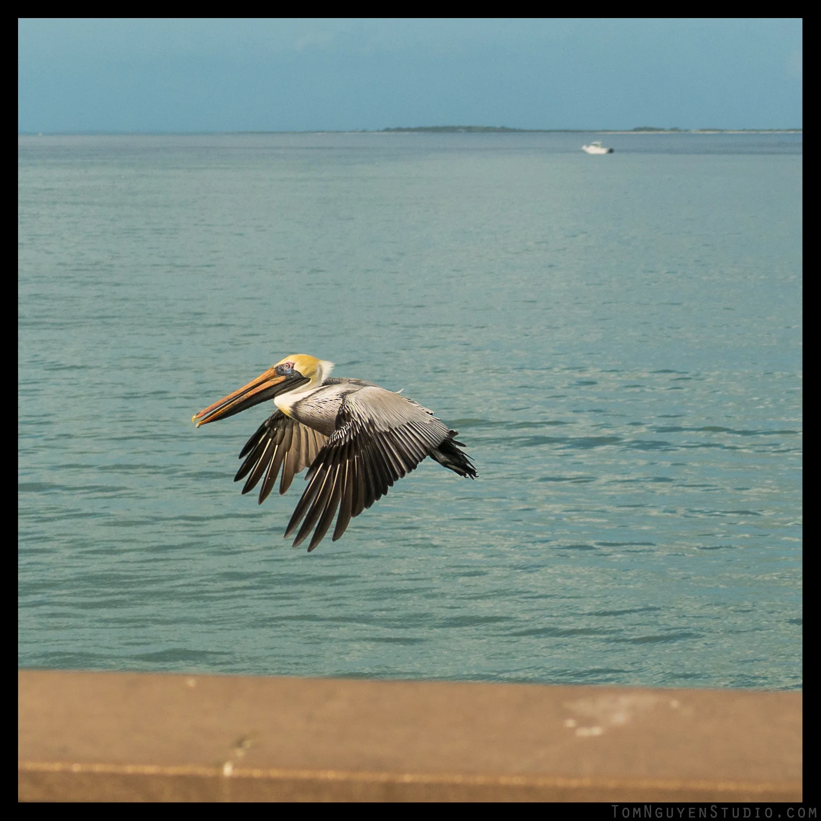 Panasonic G7 + 35-100mm/2.8 lens at f/4.0, 1/3200 second, ISO 200.