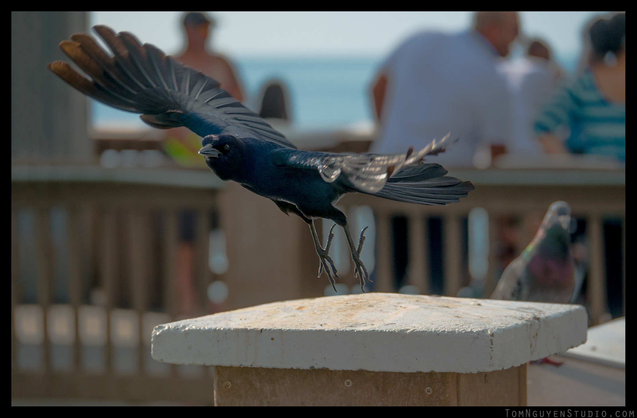 Panasonic G7 + 35-100mm/2.8 lens at f/4.0, 1/3200 second, ISO 200.