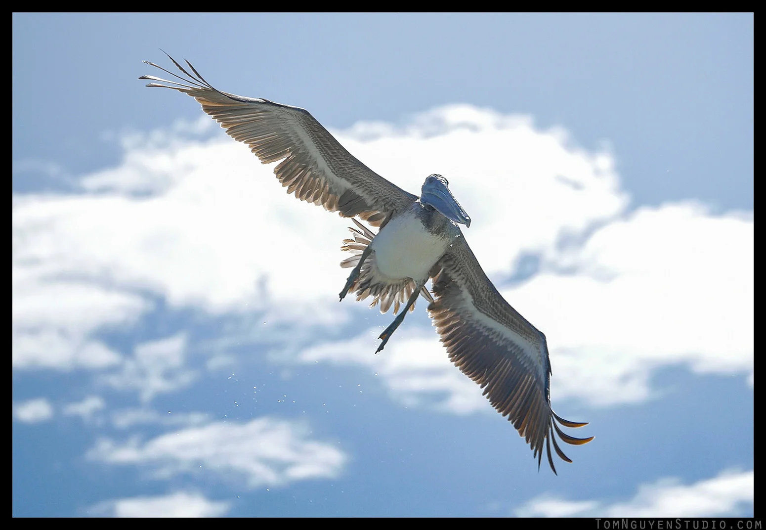 This was actually a still from a 4k frame shot with the G7 + 35-100mm lens.