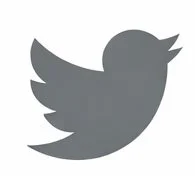 twitter icon.jpg