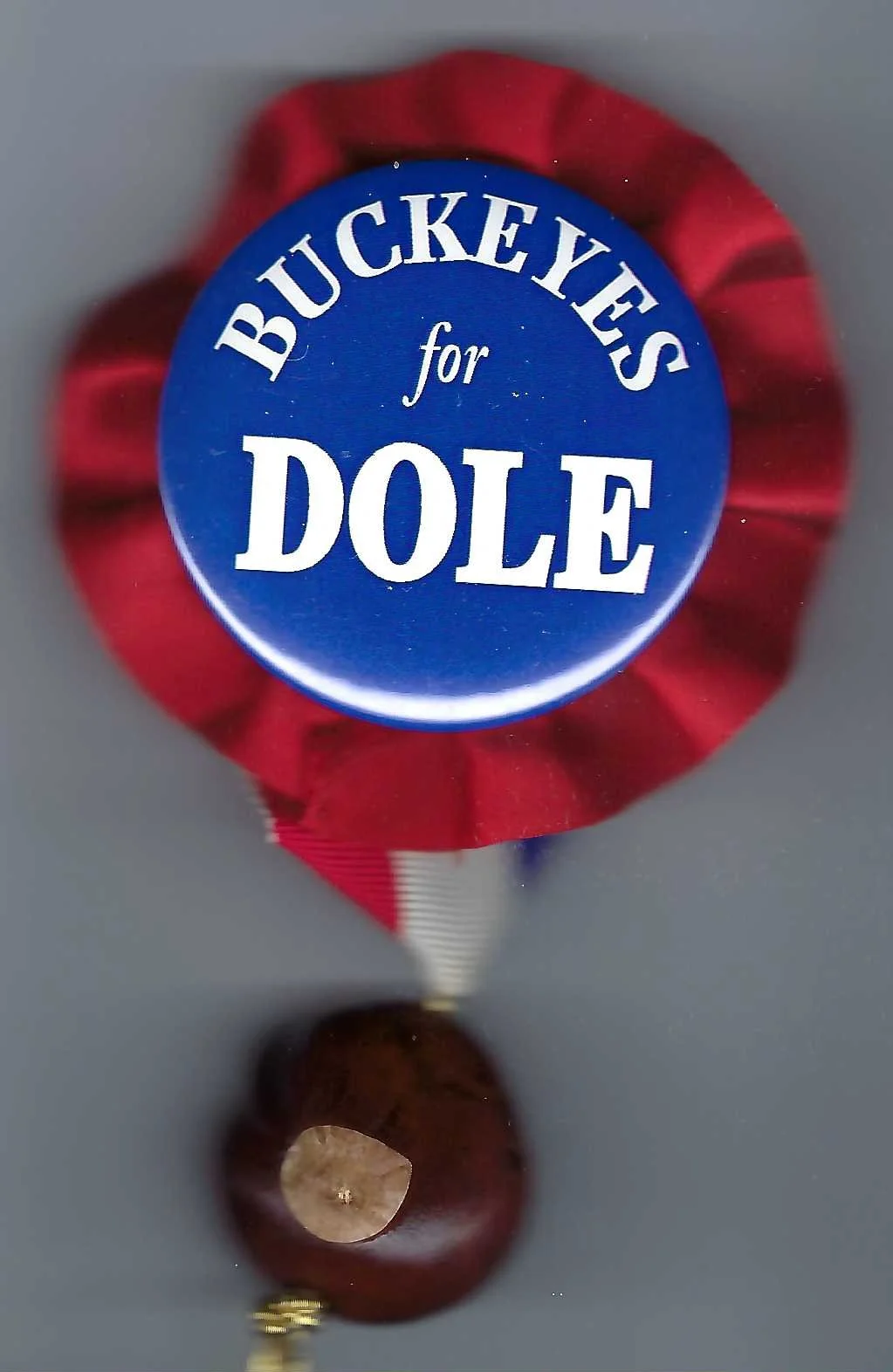 1996Dole-Convention29.jpeg