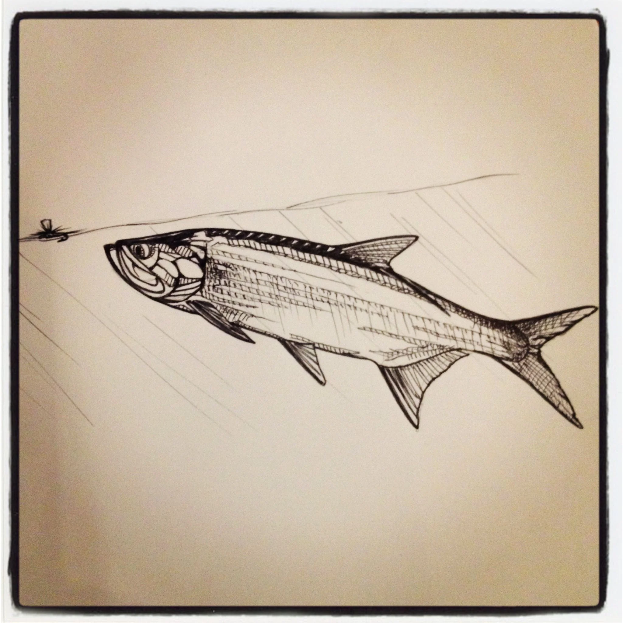 tarpon Para Adams - What if.jpg